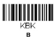 HONEYWELL 7980G-2USBC-0 - Sample Symbols - 19