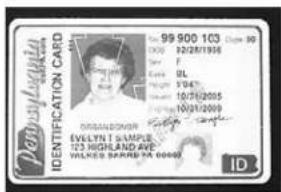 Pomyskogus IDENTIFICATION CARD 99 900 103 Date: 22/28/1956 City: FL Location: IL Address: 10741-2005 Phone: 1031-2009 ORGANEDOR EVELYN I SAMPLE 123 HIGHLAND AVE WILKES SARRA PA 00000 ID