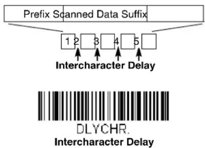 Prefix Scanned Data Suffix 1 2 3 4 5 Intercharacter Delay DLYCHR. Intercharacter Delay