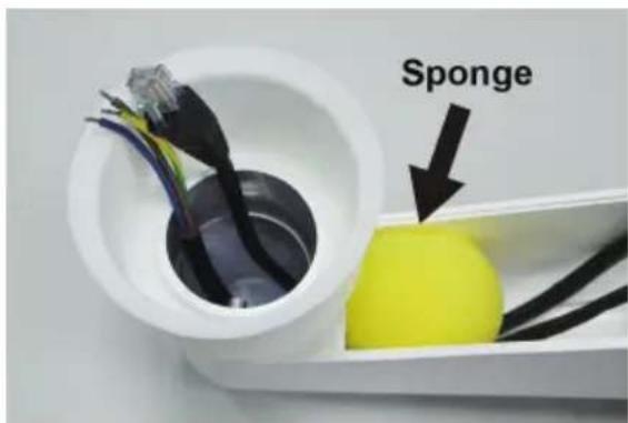 Sponge