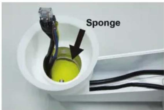 Sponge
