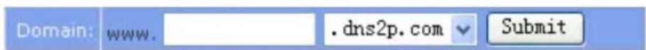 Domain: www. .dns2p.com Submit