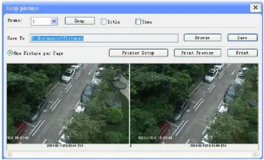 Snap picture Frame: 1 Snap Title Time Save To: D:\Documents\Pictures Browse Save One Picture per Page Printer Setup Print Preview Print 2014.06.11/03:43:44:524 2014.06.11/03:43:44:514