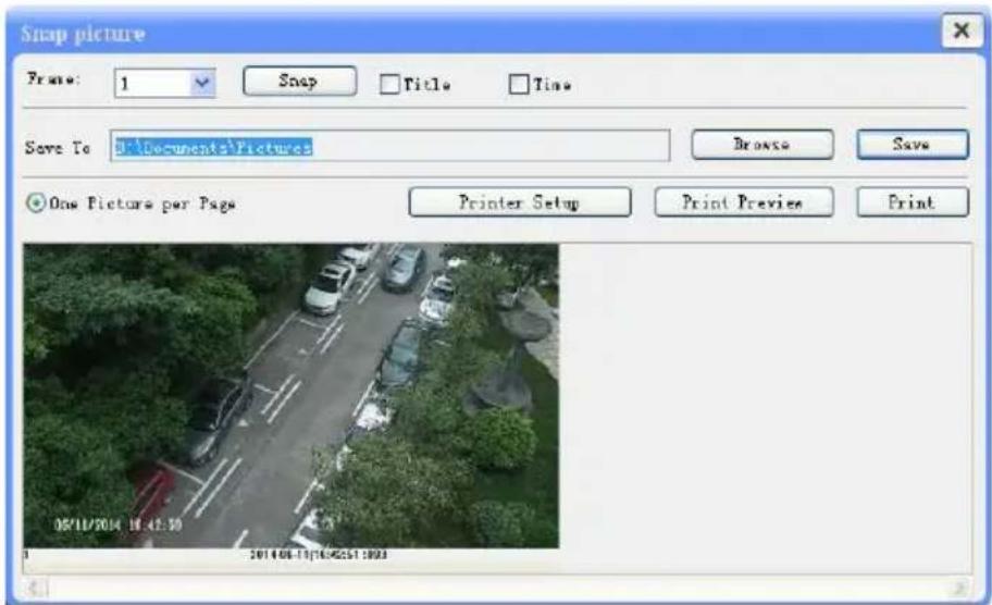 Snap picture Frame: 1 Snap Title Time Save To: D:\Documents\Pictures Browse Save One Picture per Page Printer Setup Print Preview Print 06/18/2014 10:42:50 2014 06-19/16/25:1 2003