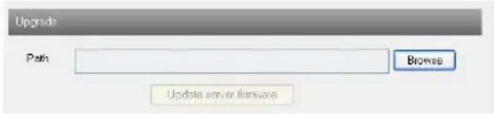 Upgrade Path Browse Update server firmware