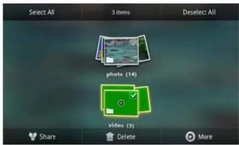 Select All 3 items Deselect: All photo (14) video (3) Share Delete More