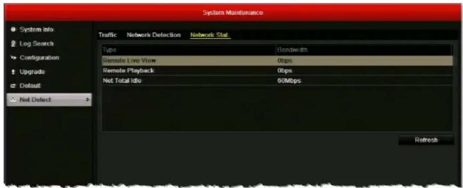 System Maintenance System Info Log Search Configuration Upgrade Default Not Detect Traffic Network Detection Network Stat Type Bandwidth Remote Live View 0bps Remote Playback 0bps Not Total Idle 60Mbps Refresh