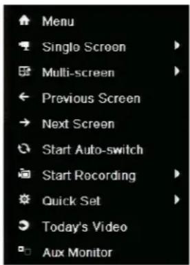 Menu Single Screen Multi-screen Previous Screen Next Screen Start Auto-switch Start Recording Quick Set Today's Video Aux Monitor