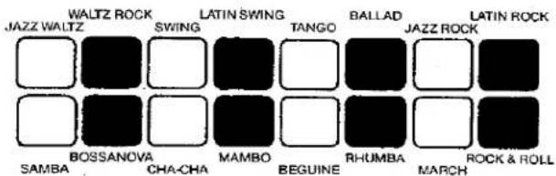 WALTZ ROCK JAZZ WALTZ SWING LATIN SWING TANGO BALLAD JAZZ ROCK SAMBA BOSSANOVA CHA-CHA MAMBO BEGUINE RHUMBA MARCH ROCK & ROLL