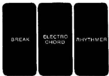 BREAK ELECTRO CHORD RHYTHMER