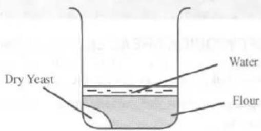 Dry Yeast Water Flour