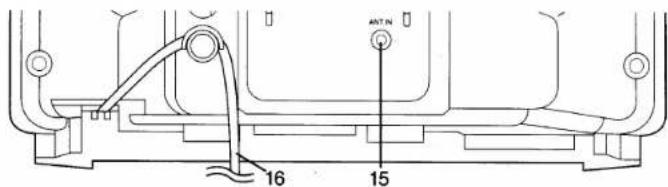 16 15 ANT N