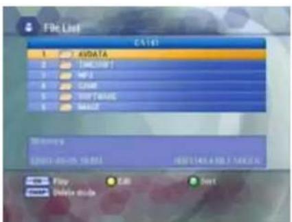 File List CA141 AVDATA MP3 MP3 CAM SHP TAGNS MACE Memory 20001-20-05 19:05 HKEY(141.4 KB) 546.24 Play Delete mode OK Next