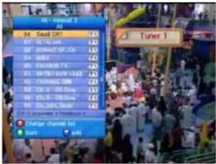 AI - Annual 2 AI 06 Saudi CH1 07 ACVILAM 08 BROAD UP, CN 09 AWLS 00 FASHION TV 01 SPTBI DVH +4AZ 02 CHANGES ON 03 Ch. G DQ Box 04 YC-SP-DIBox 05 ECL-SRC SMAC 06 CHINAWEI Pharmacy e Change channel list Sort Edit