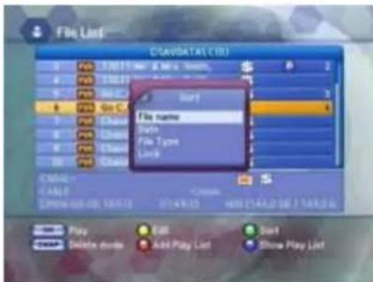 File List C:\AVIDATAL (10) File List Sort File name Delete File Type Lock Delete Create Play Delete mode Add Play List Sort Show Play List