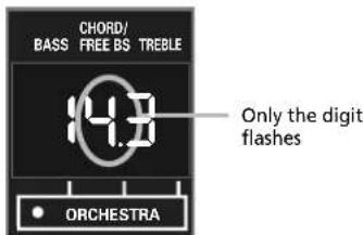 CHORD/ BASS FREE BS TREBLE 14.8 • ORCHESTRA Only the digit flashes