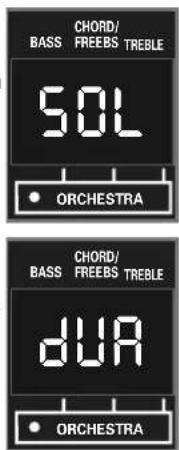 CHORD/ BASS FREEBS TREBLE 50L • ORCHESTRA CHORD/ BASS FREEBS TREBLE dura • ORCHESTRA