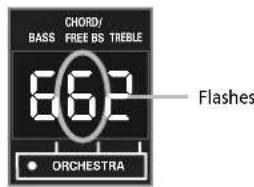 CHORD/ BASS FREE BS TREBLE 862 • ORCHESTRA Flashes