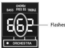 CHORD/ BASS FREE BS TREBLE 862 • ORCHESTRA Flashes