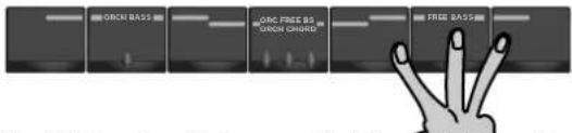 ONCH BASS ONCH BASS FREE BASS
