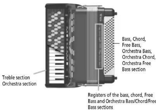 Treble section Orchestra section Bass, Chord, Free Bass, Orchestra Bass, Orchestra Chord, Orchestra Free Bass section Registers of the bass, chord, Free Bass and Orchestra Bass/Chord/Free Bass sections