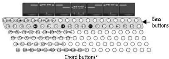 Bass buttons Chord buttons*