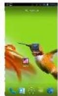 INTEX Aqua i5 - Insert Memory card - 5