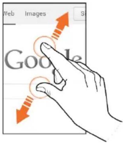 Web Images Google