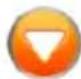 Sygic Fleet Navigation 2D software - Move up - 1