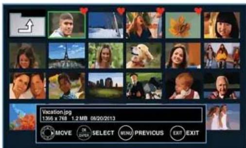 Vacation.jpg 1356 x 768 1.2 MB 09/20/2013 MOVE SELECT MENU PREVIOUS EXIT EXIT