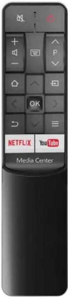 NETFLIX YouTube Media Center