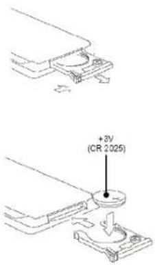 +2V (CR 2025)