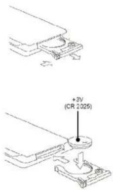 +2V (CR 2025)