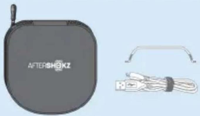 AFTERSHOKZ BLEUZ 2 - Accessories - 1