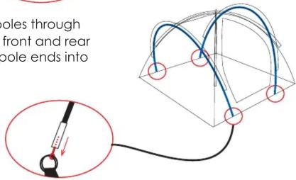 holes through front and rear pole ends into