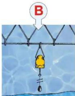 B