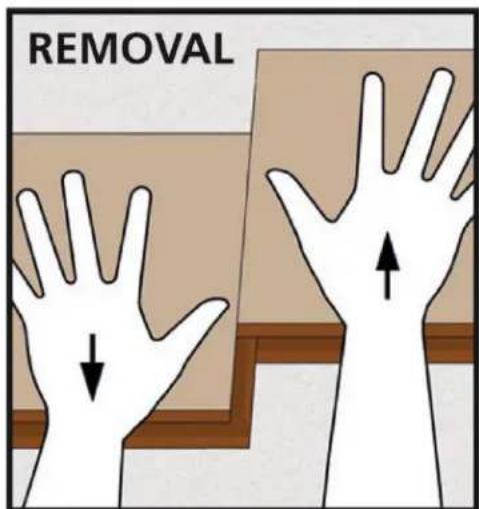 REMOVAL