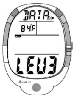 DATA 84F 100g 100g/3