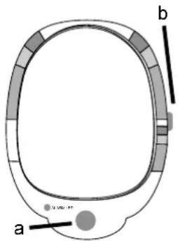 a b 1000 µm