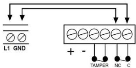 FRACARRO CE2N-416 - L1, L2, L3, L4: alarm line inputs - 3