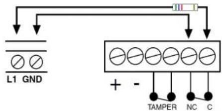 FRACARRO CE2N-416 - L1, L2, L3, L4: alarm line inputs - 2