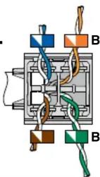 Panduit CJR5E88TGAW - Understanding the Label - 34