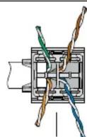 Panduit CJR5E88TGAW - Understanding the Label - 22