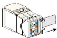 Panduit CJR5E88TGAW - Understanding the Label - 10