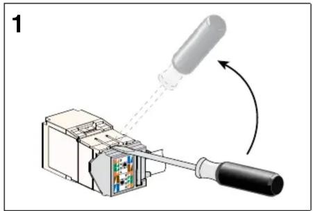 Diagram of a device being inserted into a connector with a screwdriver, showing internal components and wiring (no text or symbols)