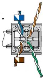 Panduit CJR5E88TGAW - Understanding the Label - 39