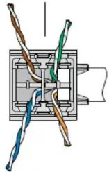 Panduit CJR5E88TGAW - Understanding the Label - 53