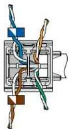 Panduit CJR5E88TGBL - 36