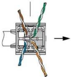 Panduit CJR5E88TGBL - 14