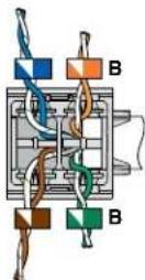 Panduit CJR5E88TGBL - 31